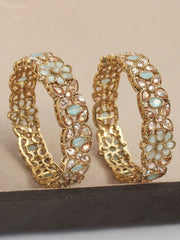 Akshita Bangle Set