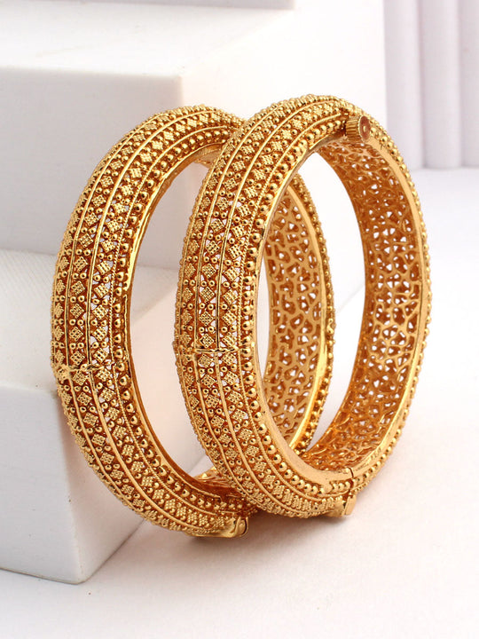 Avnisha Bangle Set-Gold